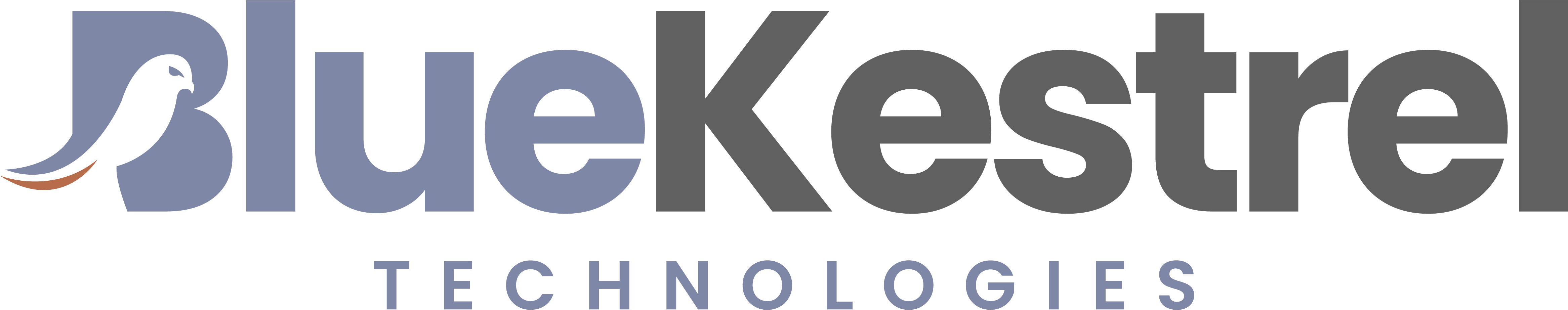Blue Kestrel Logo